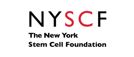 New-York-Stem-Cell-Foundation